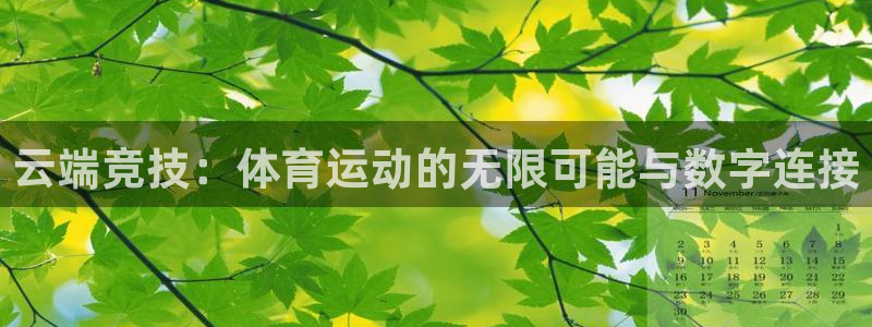 betway西汉姆：云端竞技：体育运动的无限可能与数字连接