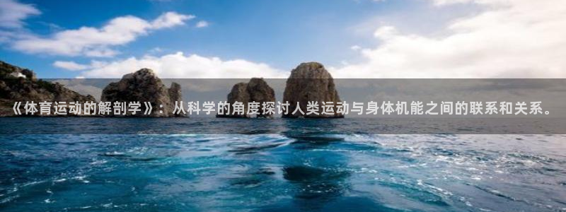 必威betway西汉姆联：《体育运动的解剖学》：从科学的角度探讨人类运动与身体机能之间的联系和关系。