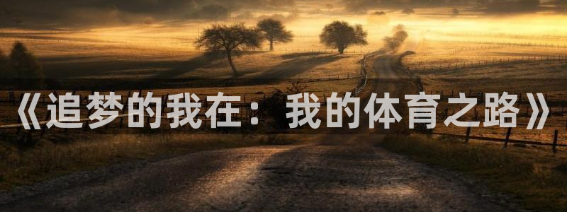 betway西汉姆联：《追梦的我在：我的体育之路》
