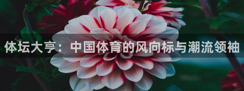 betway西汉姆联：体坛大亨：中国体育的风向标与潮流领袖