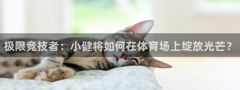 必威betway西汉姆联：极限竞技者：小健将如何在体育场上绽放光芒？