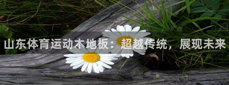 betway西汉姆联：山东体育运动木地板：超越传统，展现未来