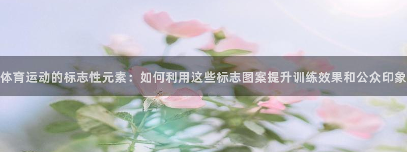 betway西汉姆：体育运动的标志性元素：如何利用这些标志图案提升训练效果和公众印象