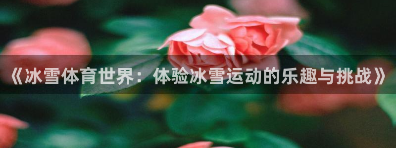 betway西汉姆联：《冰雪体育世界：体验冰雪运动的乐趣与挑战》